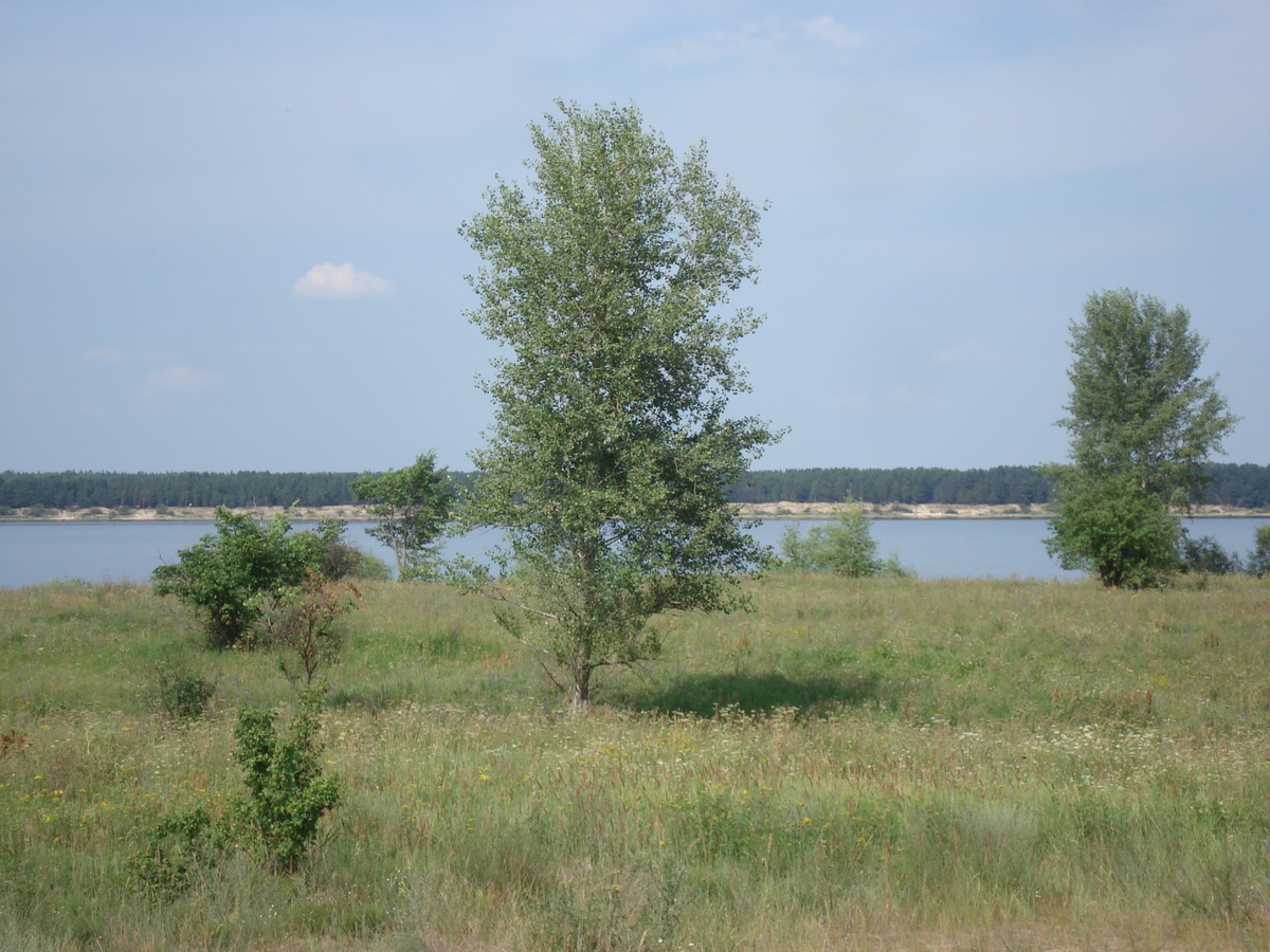 รูปถ่าย รัสเซีย(Russia) จากคาซานไปนิจนีนอฟโกรอด(From Kazan to Nizhniy Novgorod) 2006-07 44