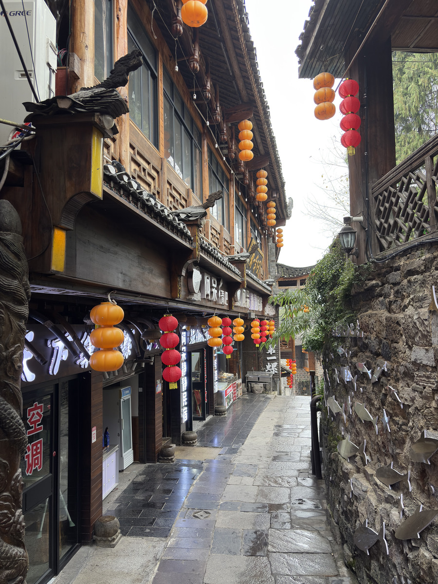 รูปถ่าย จีน(China) เมืองโบราณฝูหรง(Furong Ancient Town) 2026-01 121