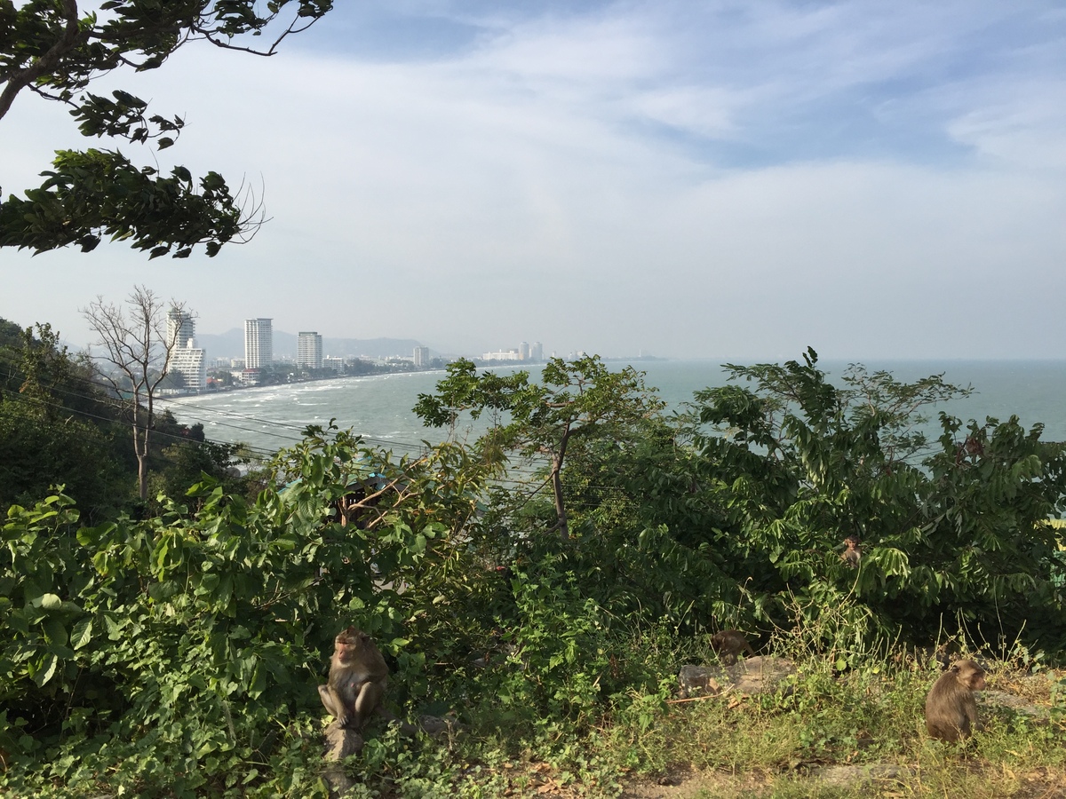 รูปถ่าย ไทย(Thailand) หัวหิน(Hua hin) 2016-01 71