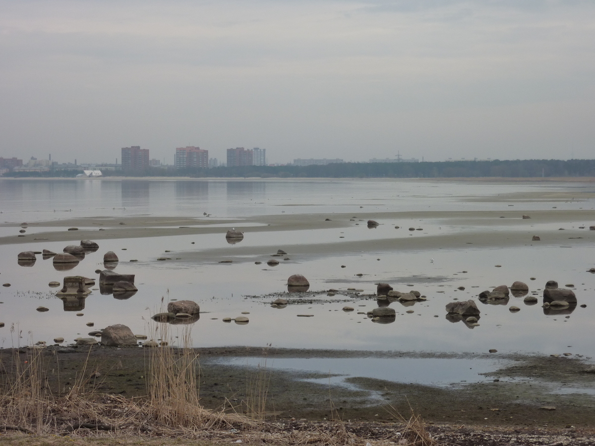 รูปถ่าย เอสโตเนีย(Estonia) ถนนจากทาลลินน์ไปฮาปซาลู(Tallinn to Haapsalu road) 2009-04 4