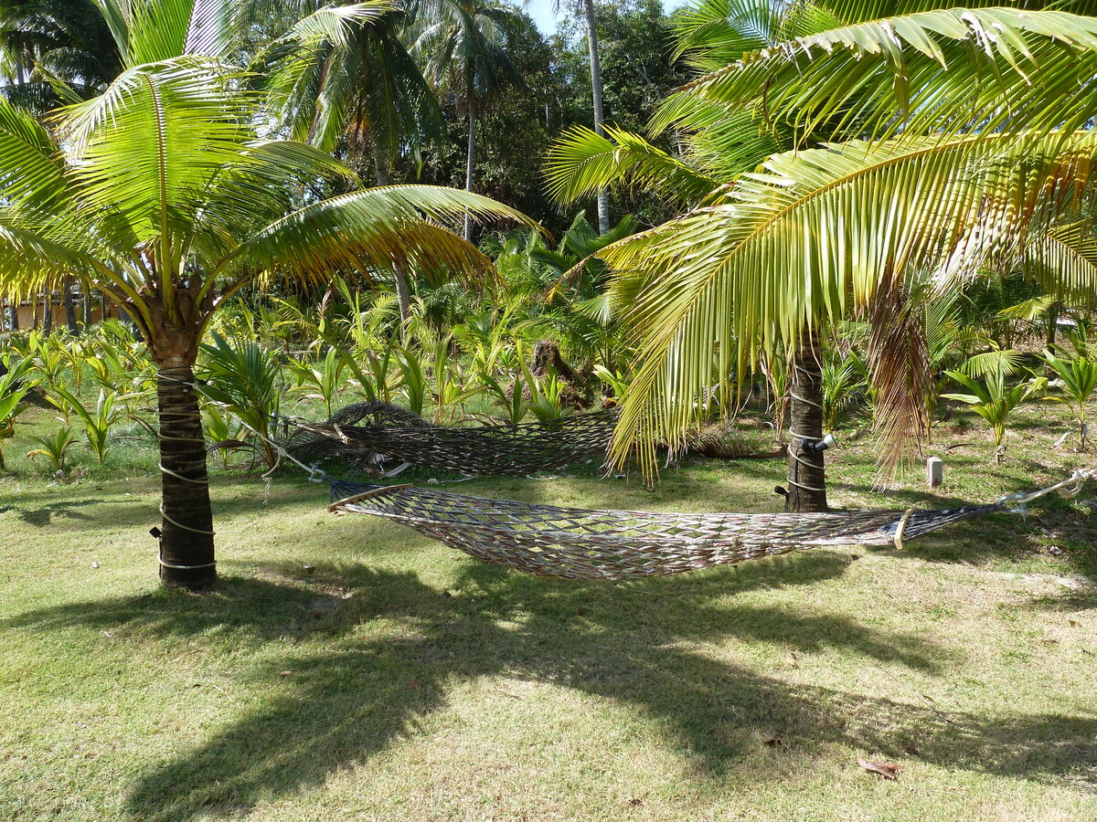 รูปถ่าย ไทย(Thailand) เกาะช้าง(Ko Chang) 2011-12 173