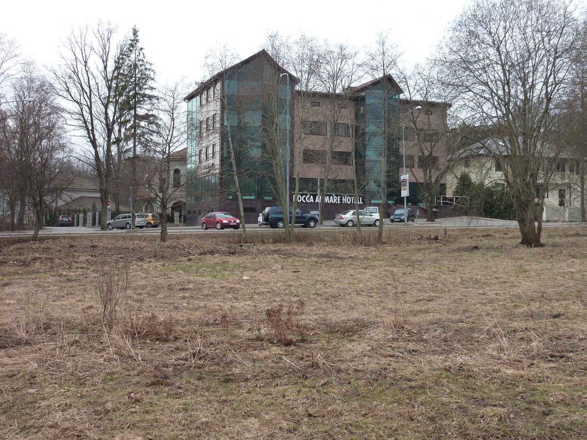 รูปถ่าย เอสโตเนีย(Estonia) ถนนจากทาลลินน์ไปฮาปซาลู(Tallinn to Haapsalu road) 2009-04 47