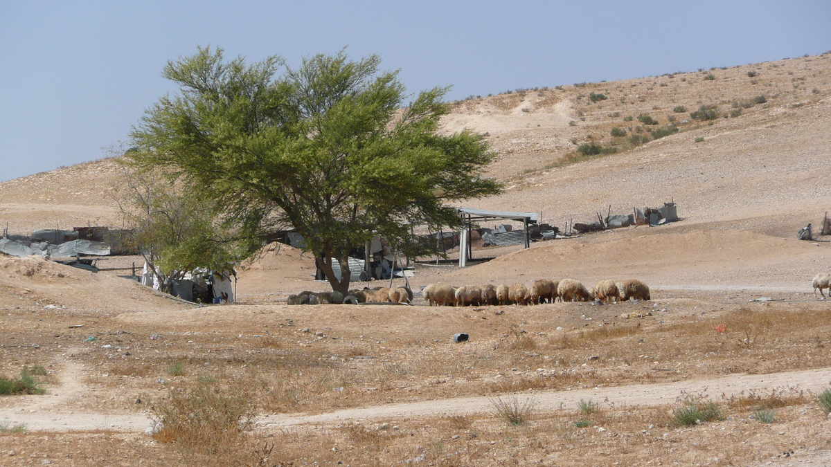 รูปถ่าย อิสราเอล(Israel) ถนนจากอัชเคลอนไปอาราด(Ashkelon to Arad road) 2007-06 90