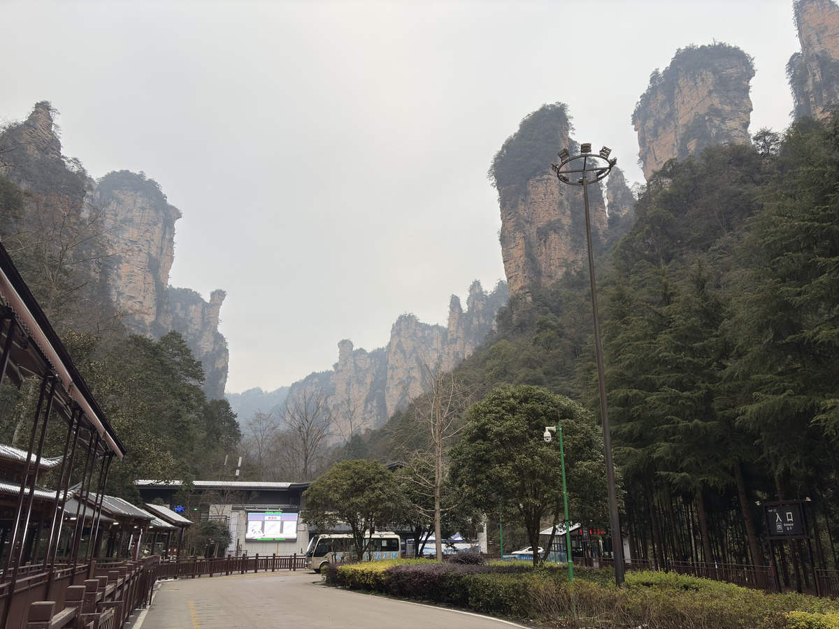 รูปถ่าย จีน(China) จางเจียเจี้ย(Zhangjiajie) 2026-01 104