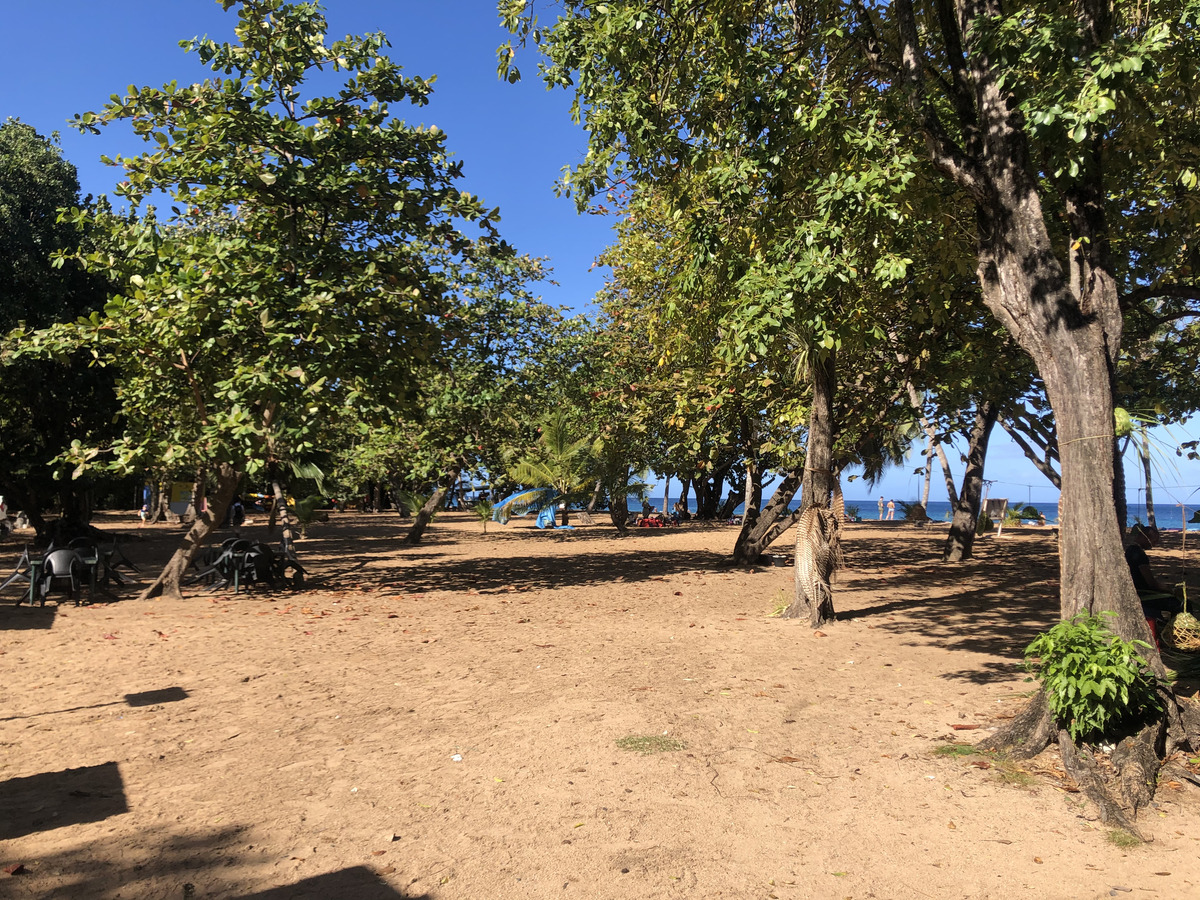รูปถ่าย กวาเดอลูป(Guadeloupe) หาดกร็องด์อ็องส์(Grande Hanse Beach) 2021-02 13
