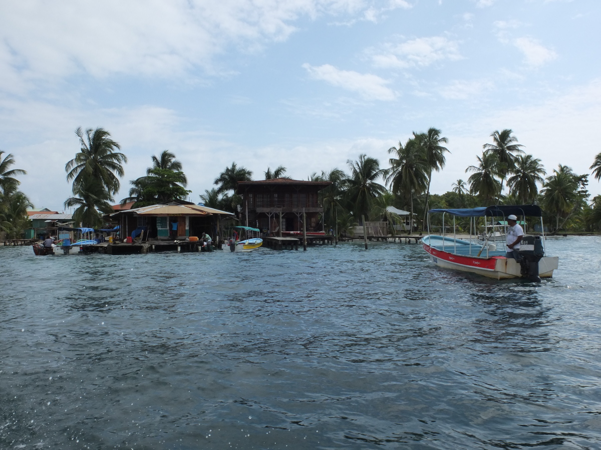 รูปถ่าย ปานามา(Panama) เกาะบาสติเมนโตส(Bastimentos) 2015-03 0