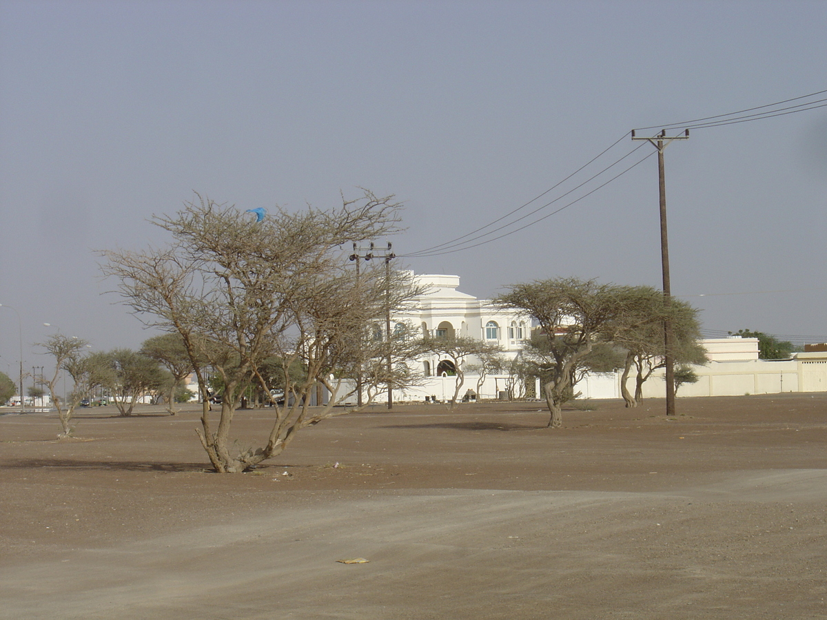 รูปถ่าย โอมาน(Oman) บูไรมิ(Buraimi) 2005-03 0
