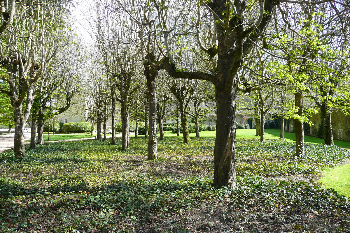 รูปถ่าย ฝรั่งเศส(France) ปราสาทเชอนงโซ(Chenonceau Castle) สวนปราสาทเชอนงโซ(Gardens of Chenonceau) 2008-04 29