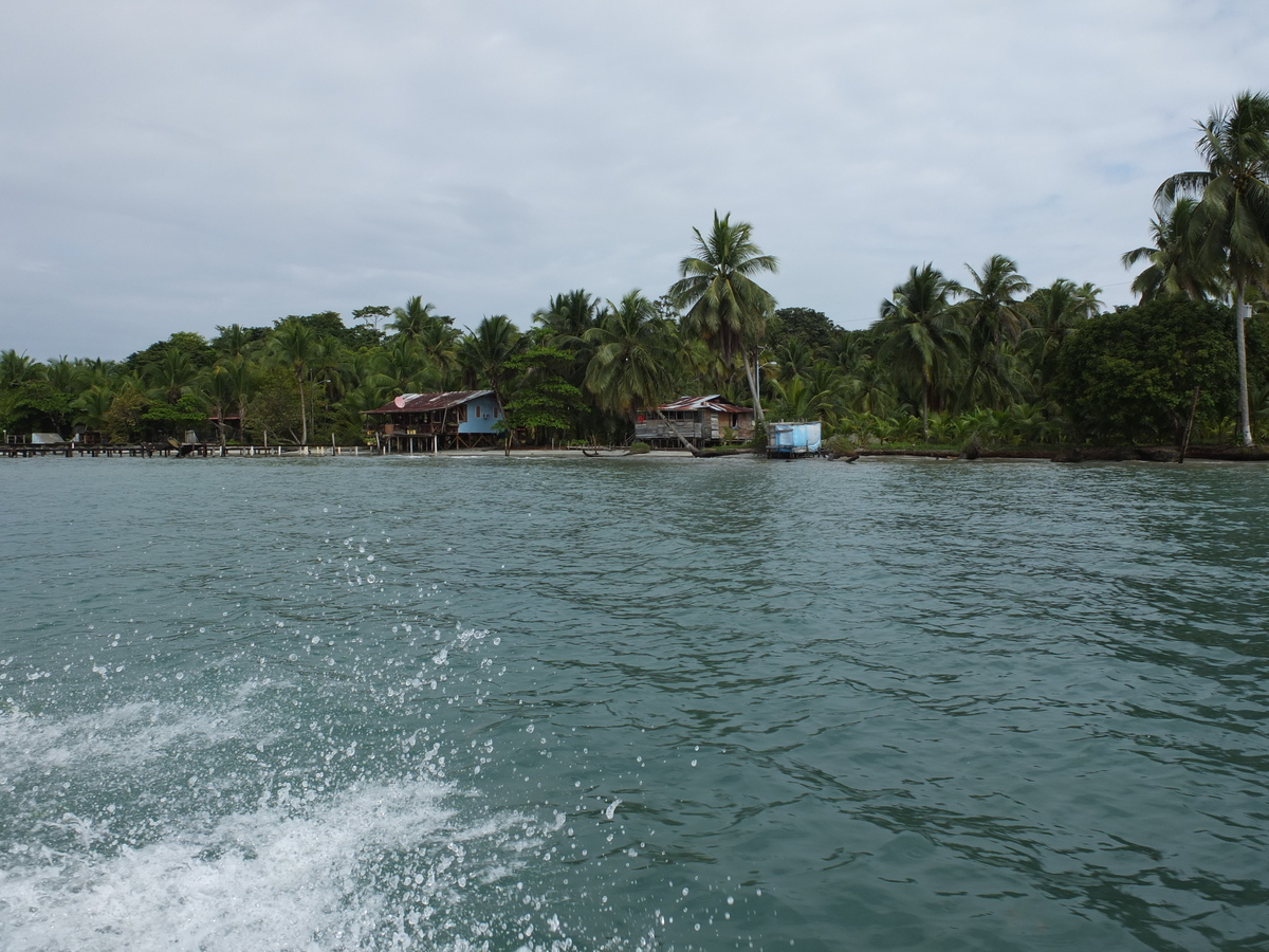 รูปถ่าย ปานามา(Panama) เกาะบาสติเมนโตส(Bastimentos) 2015-03 4