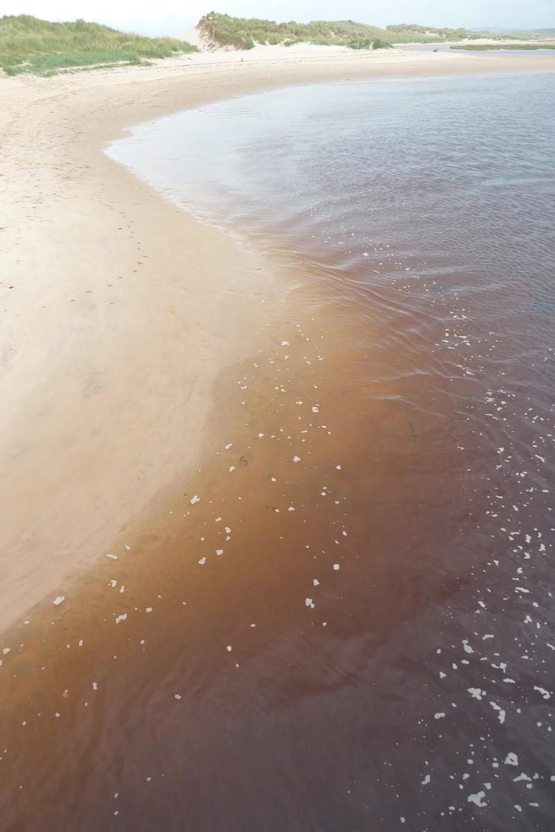 รูปถ่าย อังกฤษ(United Kingdom) สกอตแลนด์(Scotland) ลอสซีเมาท์(Lossiemouth) 2011-07 19