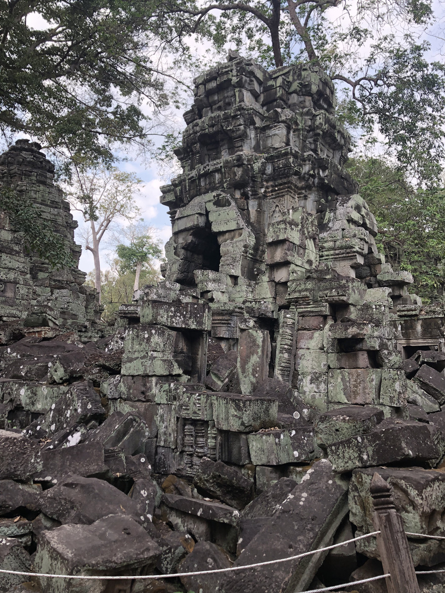 รูปถ่าย กัมพูชา(Cambodia) เสียมราฐ(Siem Reap) ปราสาทตาพรหม(Ta Prohm) 2023-01 106