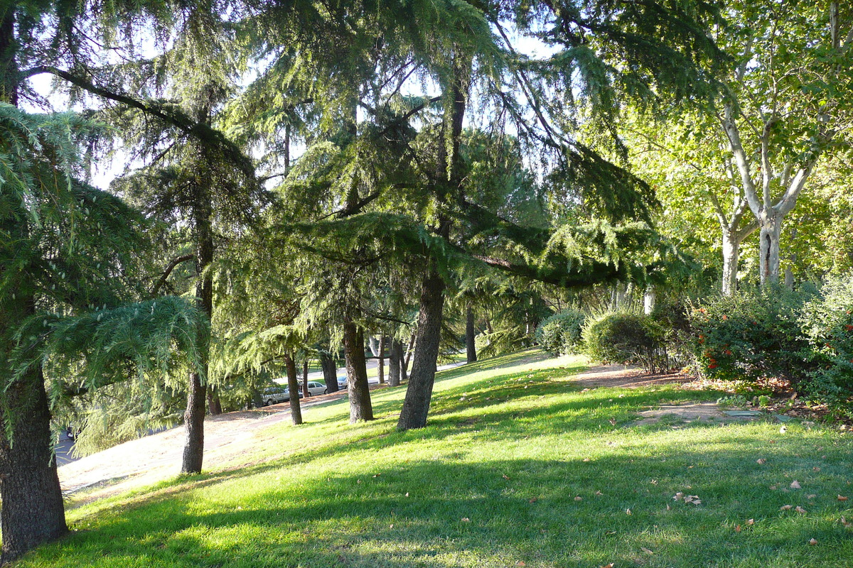 รูปถ่าย สเปน(Spain) มาดริค(Madrid) สวนเดลโอเอสเต(Parque del Oeste) 2007-09 35