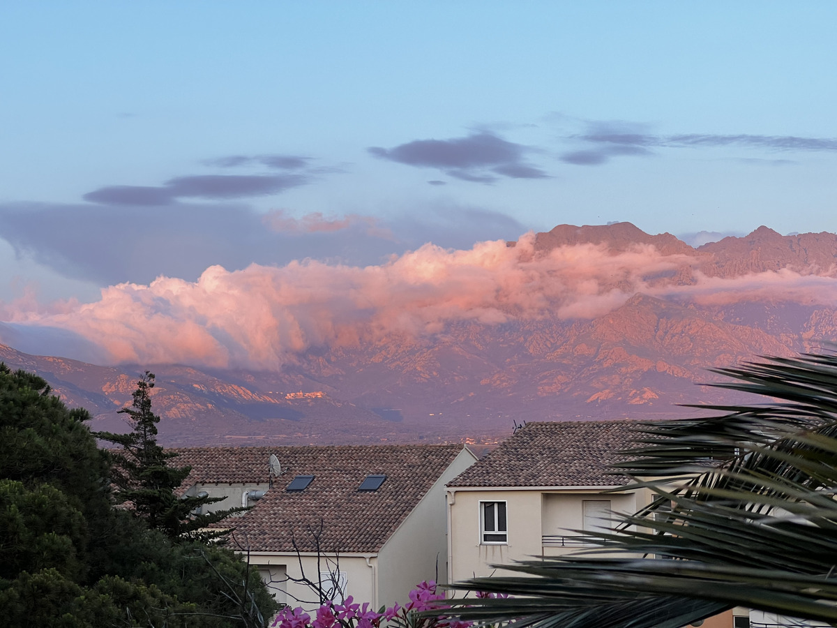 รูปถ่าย ฝรั่งเศส(France) คอร์สิคา(Corsica) คาลวี(Calvi) 2023-06 0
