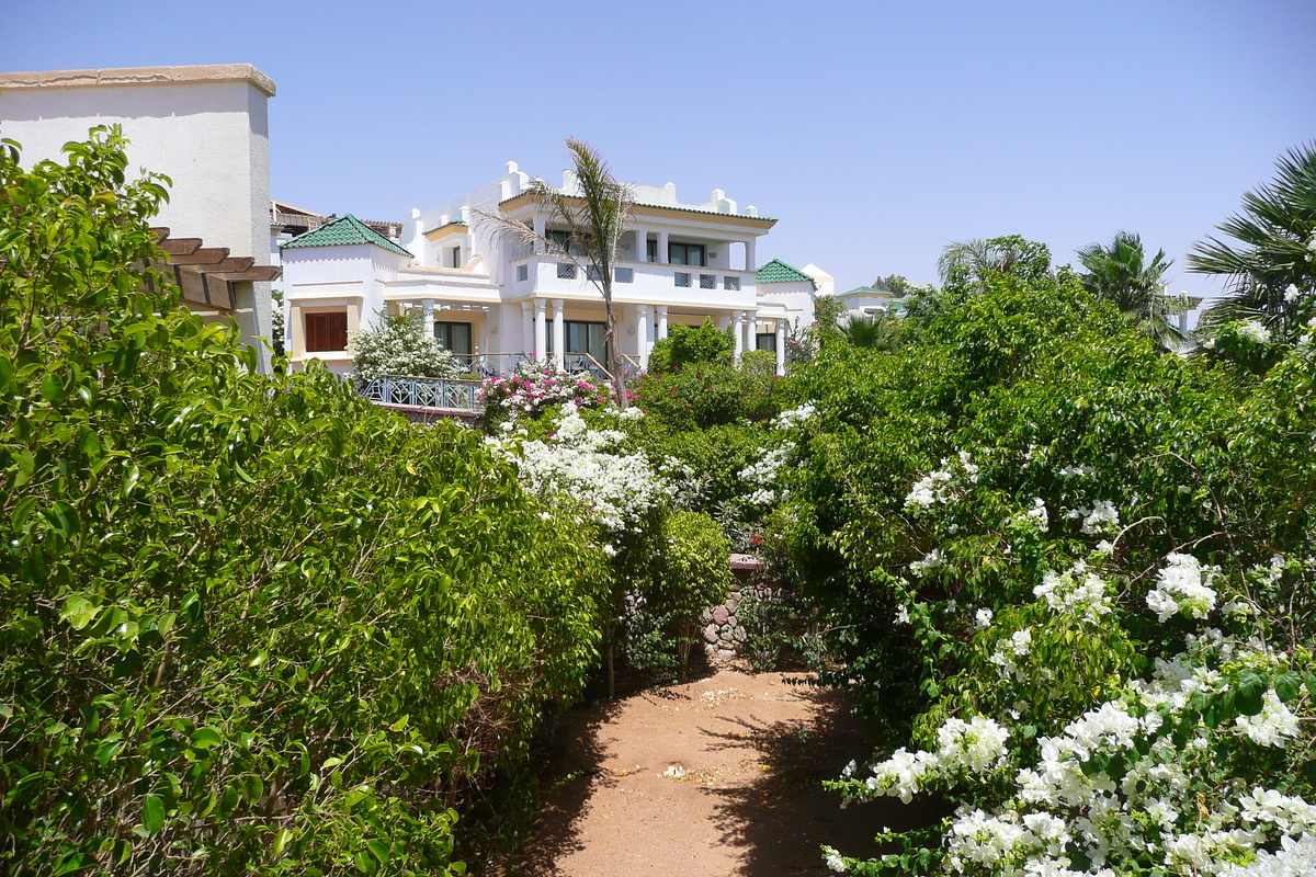 รูปถ่าย อียิปต์(Egypt) ชาร์มเอลชีค(Sharm el Sheikh) โรงแรมไฮแอต(Hyatt Hotel) 2008-06 179