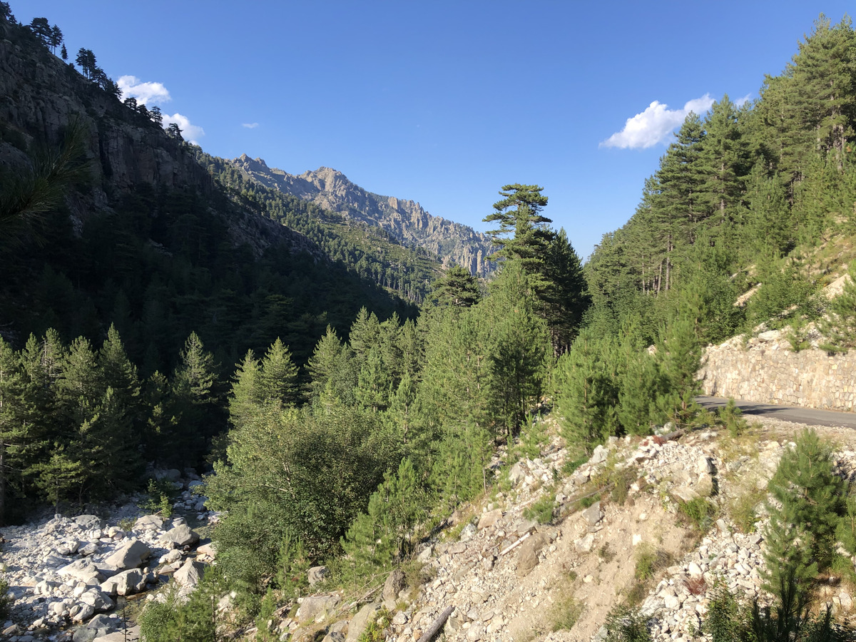 รูปถ่าย ฝรั่งเศส(France) คอร์สิคา(Corsica) หุบเขาลาเรสโตนีกา(La Restonica) 2020-07 17