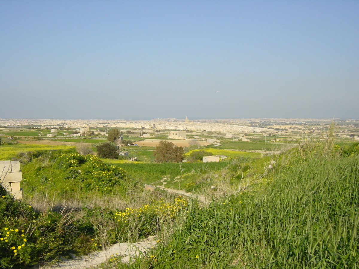 รูปถ่าย มอลตา(Malta) รอบๆเอ็มดินา(Around Mdina) 2003-03 3
