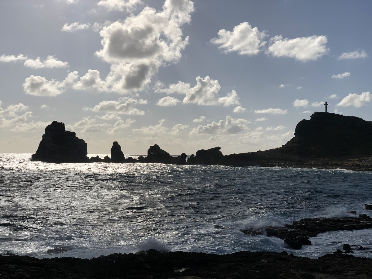รูปถ่าย กวาเดอลูป(Guadeloupe) แหลมคาสเซิลพอยต์(Castle Point) 2021-02 224