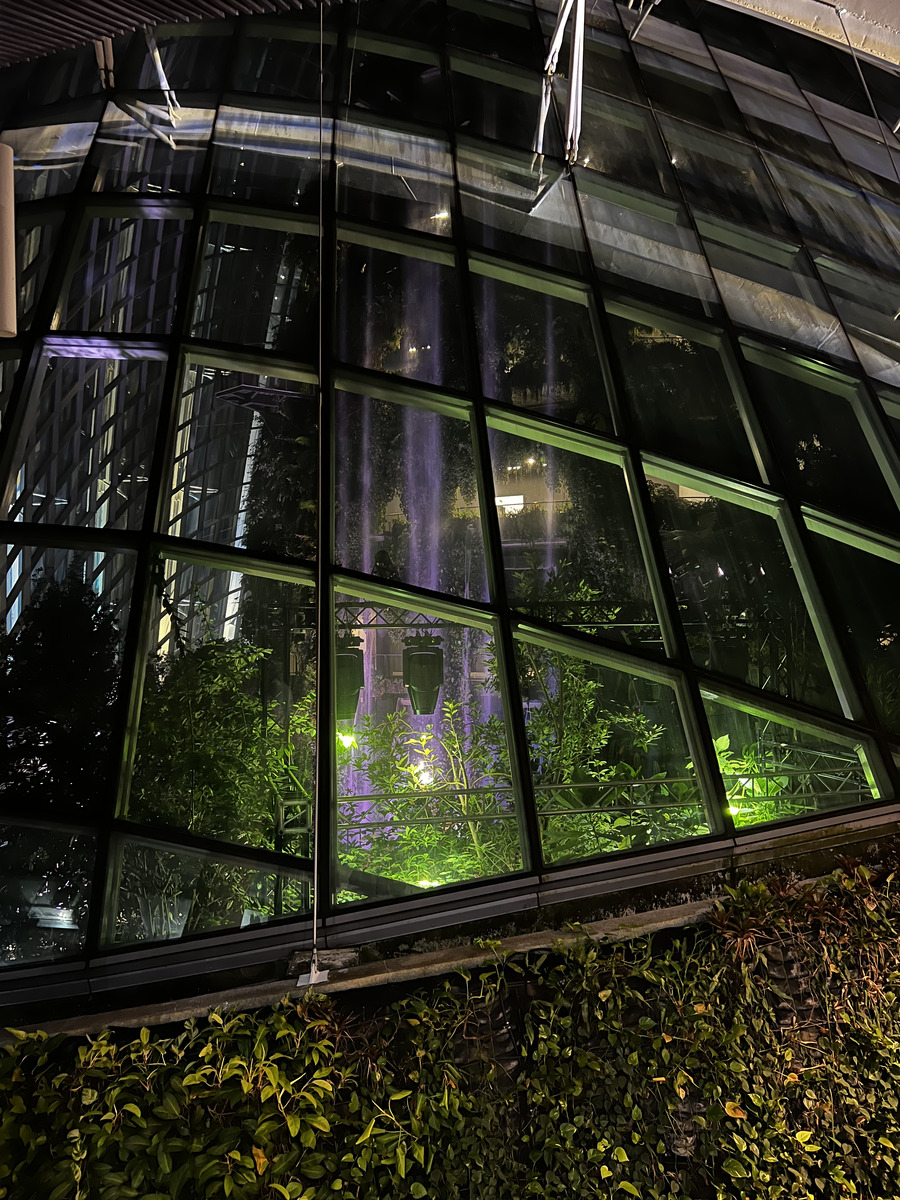รูปถ่าย สิงคโปร์(Singapore) การ์เดนส์บายเดอะเบย์(Garden by the bay) 2023-01 56
