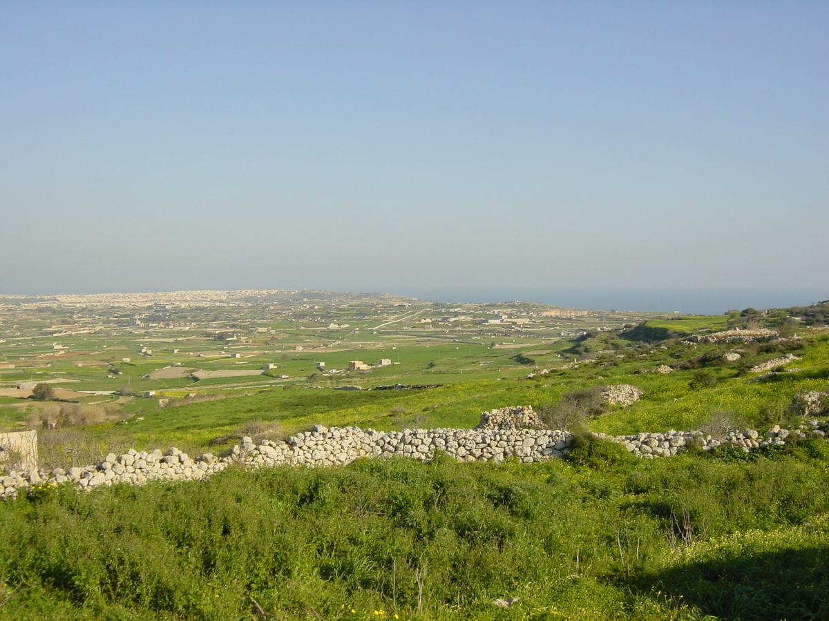 รูปถ่าย มอลตา(Malta) รอบๆเอ็มดินา(Around Mdina) 2003-03 0