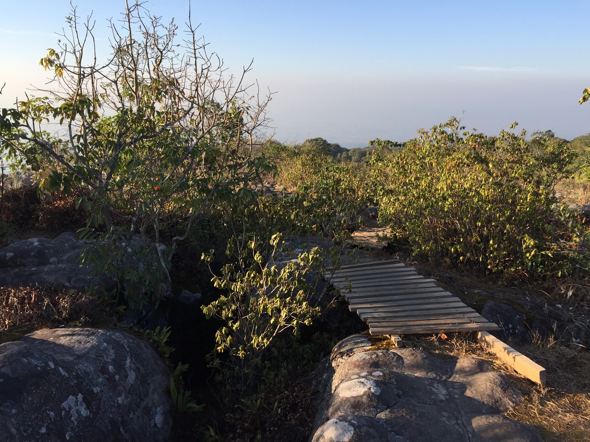 รูปถ่าย ไทย(Thailand) อุทยานแห่งชาติภูหินร่องกล้า(Phu Hin Rong Kla National Park) 2014-12 83