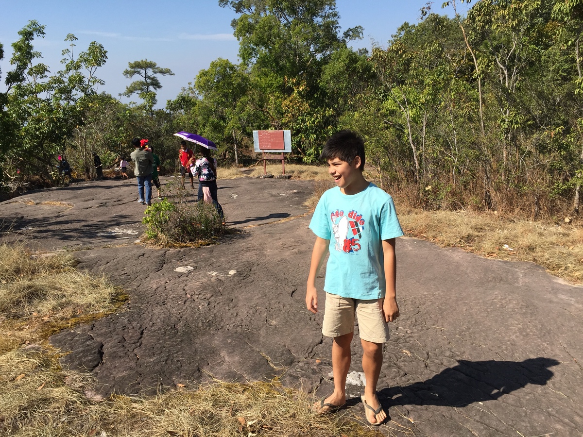 รูปถ่าย ไทย(Thailand) อุทยานแห่งชาติภูหินร่องกล้า(Phu Hin Rong Kla National Park) 2014-12 373