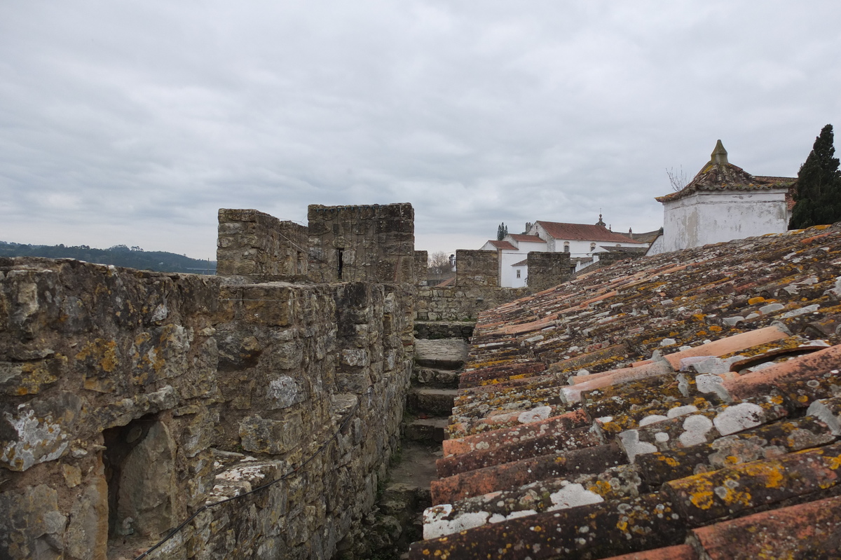 รูปถ่าย โปรตุเกส(Portugal) โอบีโดส(Obidos) 2013-01 66