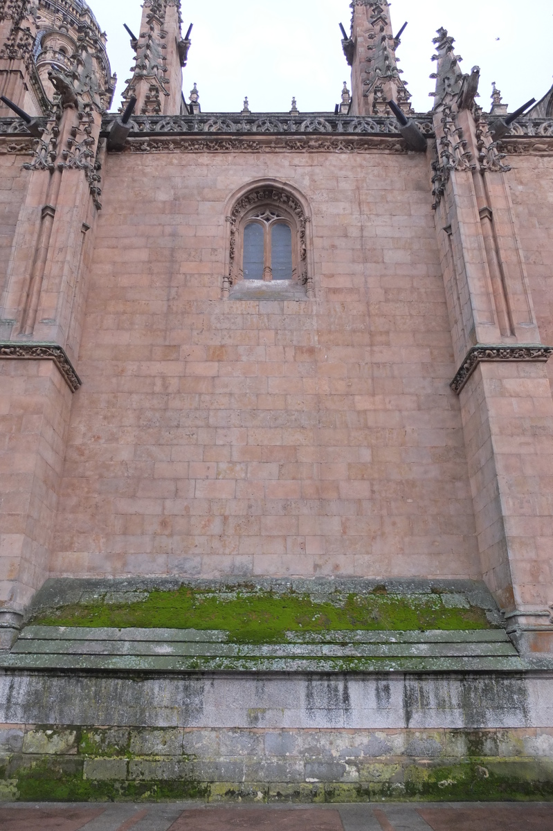 รูปถ่าย สเปน(Spain) ซาลามังกา(Salamanca) 2013-01 94