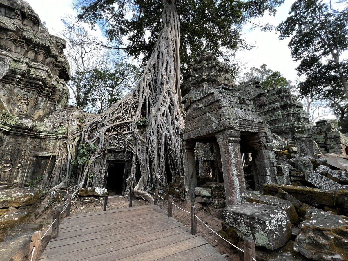 รูปถ่าย กัมพูชา(Cambodia) เสียมราฐ(Siem Reap) ปราสาทตาพรหม(Ta Prohm) 2023-01 155