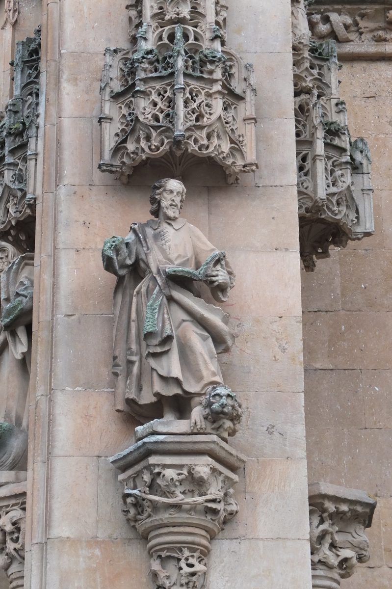 รูปถ่าย สเปน(Spain) ซาลามังกา(Salamanca) 2013-01 128