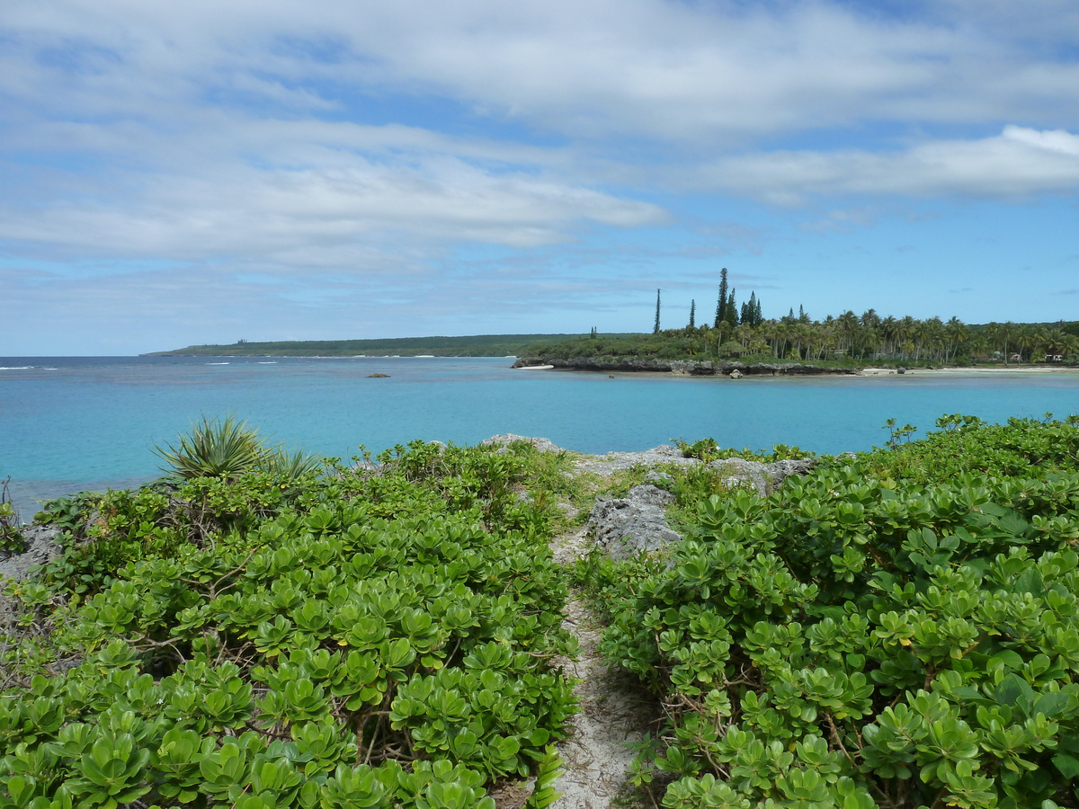 รูปถ่าย นิวแคลิโดเนีย(New Caledonia) เกาะลีฟู(Lifou) อ่าวเต่า(Baie des tortues) 2010-05 11