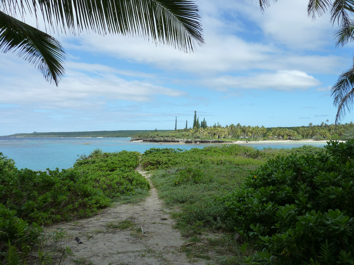 รูปถ่าย นิวแคลิโดเนีย(New Caledonia) เกาะลีฟู(Lifou) อ่าวเต่า(Baie des tortues) 2010-05 22