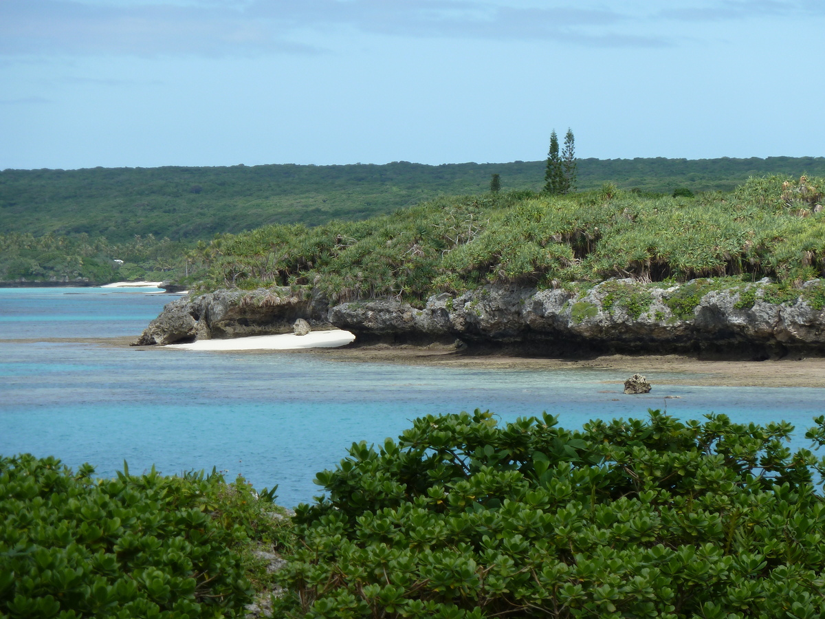 รูปถ่าย นิวแคลิโดเนีย(New Caledonia) เกาะลีฟู(Lifou) อ่าวเต่า(Baie des tortues) 2010-05 15
