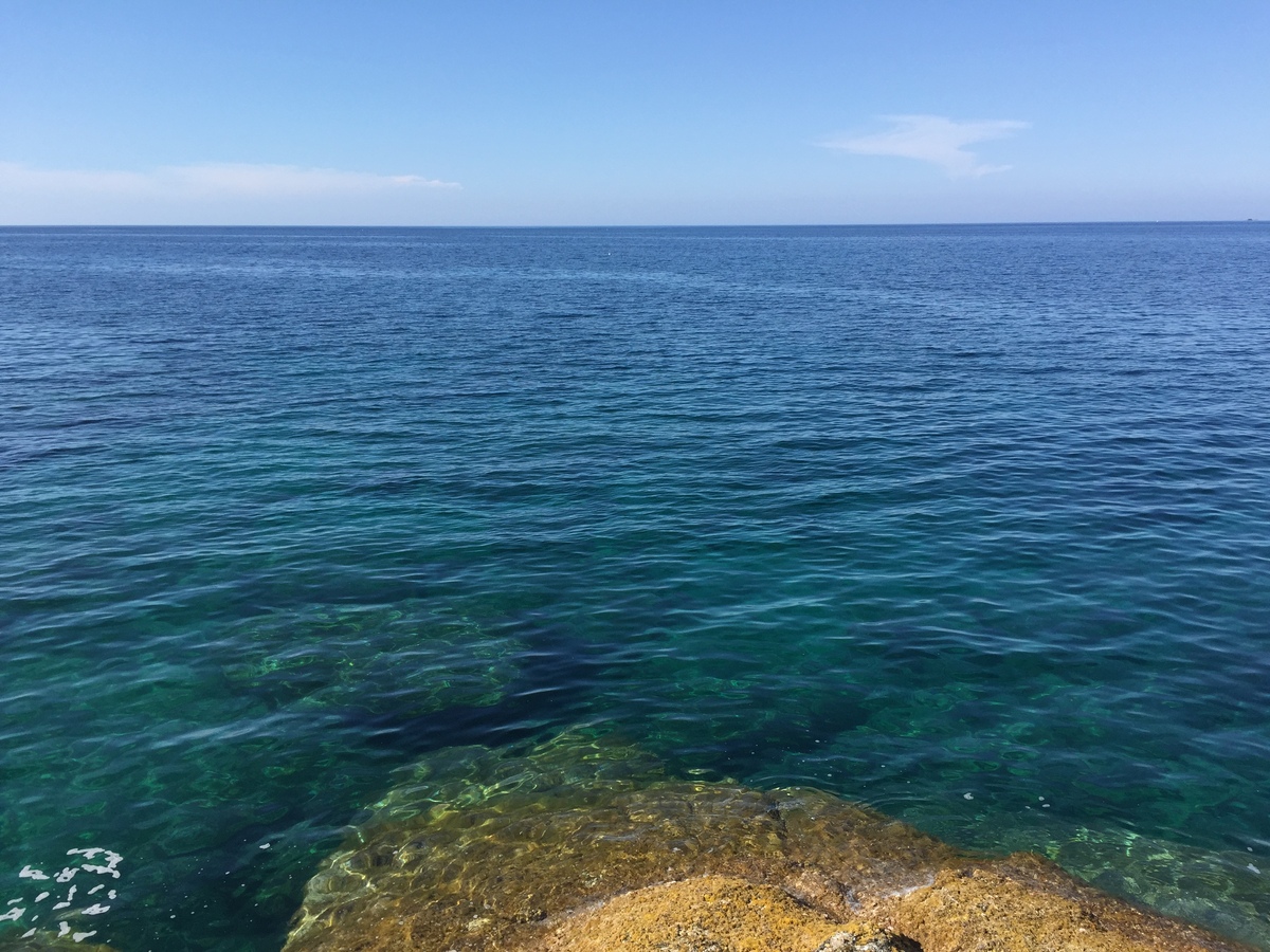 รูปถ่าย ฝรั่งเศส(France) คอร์สิคา(Corsica) คาลวี(Calvi) 2015-05 64