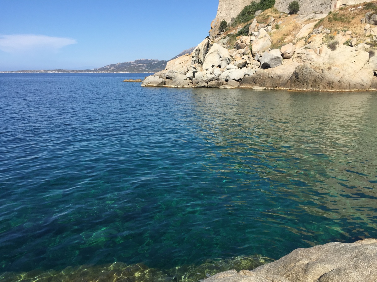 รูปถ่าย ฝรั่งเศส(France) คอร์สิคา(Corsica) คาลวี(Calvi) 2015-05 67
