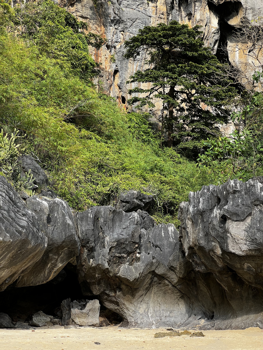 รูปถ่าย ไทย(Thailand) กระบี่(Krabi) 2023-01 416
