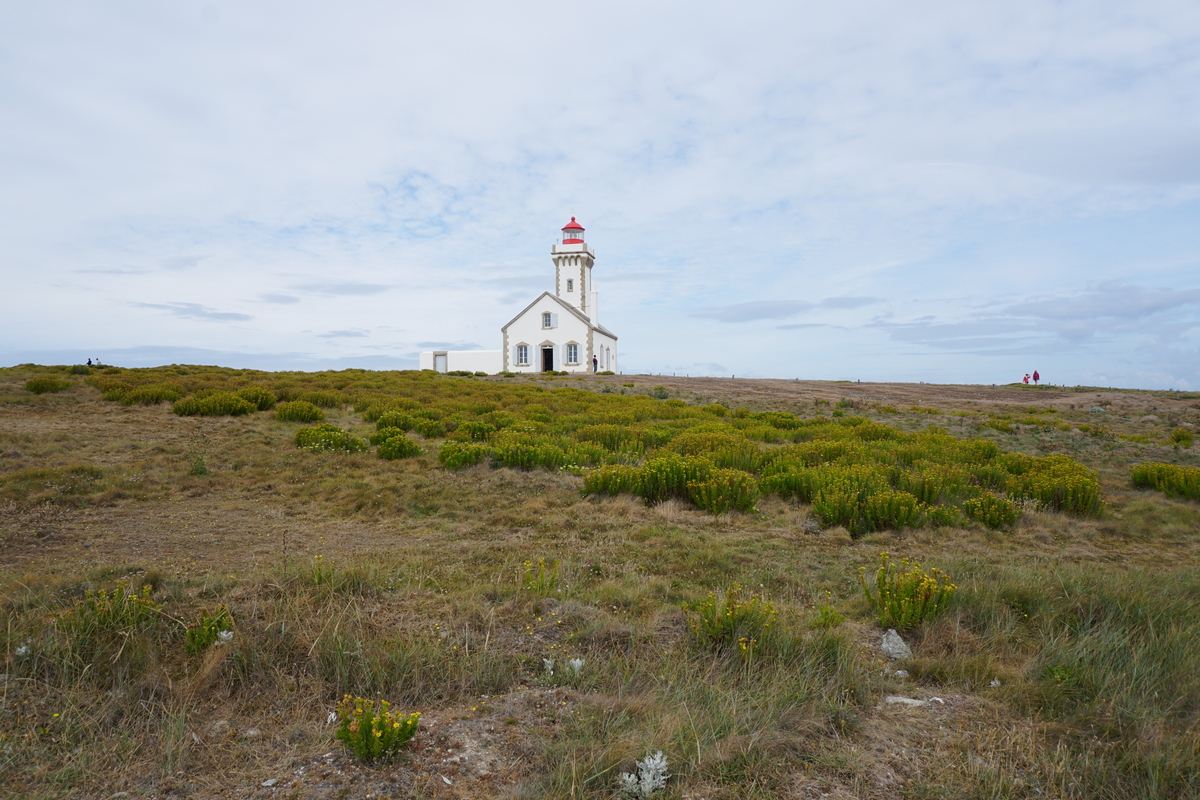รูปถ่าย ฝรั่งเศส(France) เกาะแบล-อีล(Belle-Ile) 2016-08 167