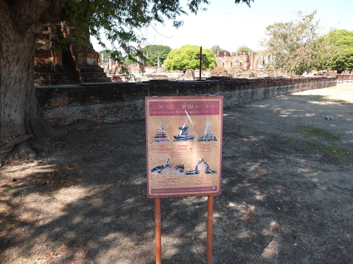รูปถ่าย ไทย(Thailand) อยุธยา(Ayutthaya) 2011-12 105