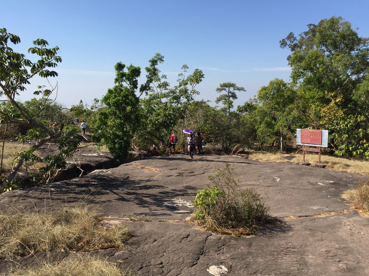 รูปถ่าย ไทย(Thailand) อุทยานแห่งชาติภูหินร่องกล้า(Phu Hin Rong Kla National Park) 2014-12 89