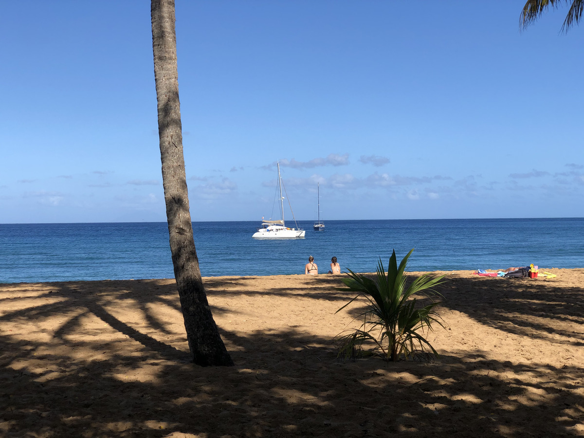 รูปถ่าย กวาเดอลูป(Guadeloupe) หาดกร็องด์อ็องส์(Grande Hanse Beach) 2021-02 6