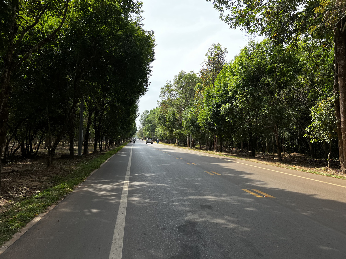 รูปถ่าย กัมพูชา(Cambodia) เสียมราฐ(Siem Reap) 2023-01 83