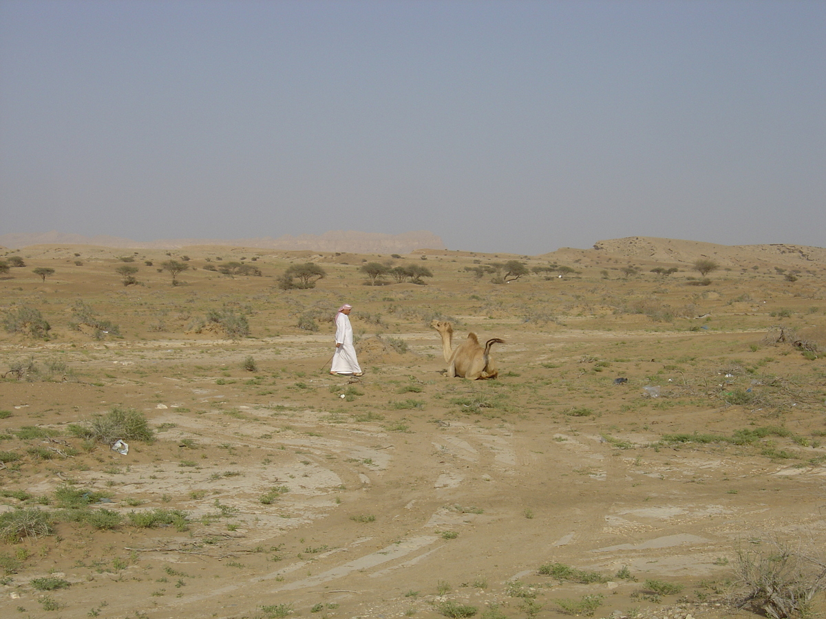 รูปถ่าย โอมาน(Oman) จากบูไมิไปถนนมาฮาดา(Buraimi to Mahada road) 2005-03 18