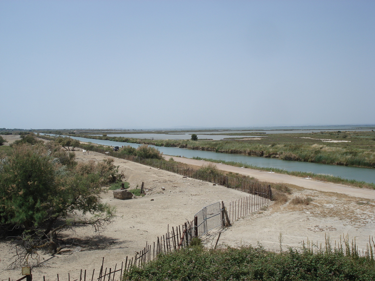 รูปถ่าย ฝรั่งเศส(France) กามาร์เกอ(Camargue) 2006-06 11