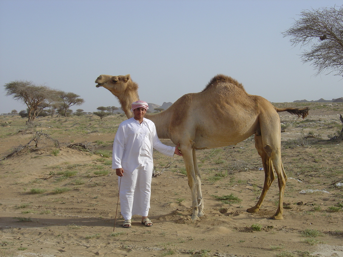 รูปถ่าย โอมาน(Oman) จากบูไมิไปถนนมาฮาดา(Buraimi to Mahada road) 2005-03 32