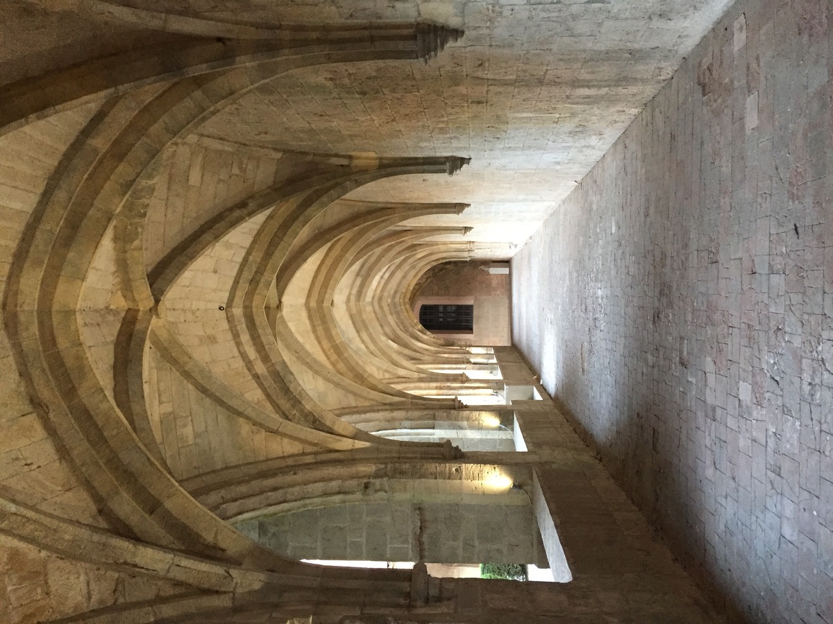 รูปถ่าย ฝรั่งเศส(France) แซ็งมักซีแม็ง-ลา-แซ็นต์-โบม(Saint Maximin la Sainte Baume) โรงแรมเลอกูว็องรัวยาล แซ็งมักซีแม็ง(Le Couvent Royal Saint Maximin Hotel) 2017-08 50