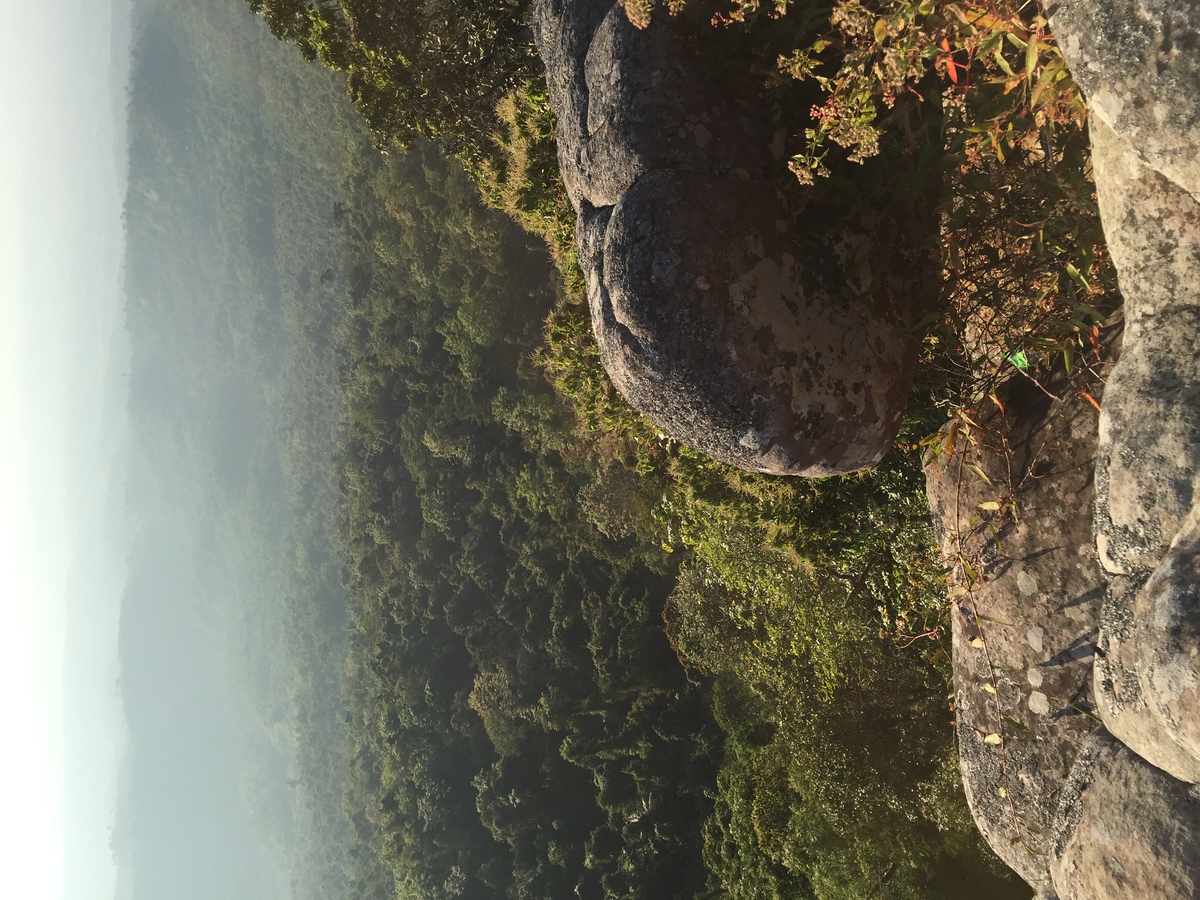 รูปถ่าย ไทย(Thailand) อุทยานแห่งชาติภูหินร่องกล้า(Phu Hin Rong Kla National Park) 2014-12 27