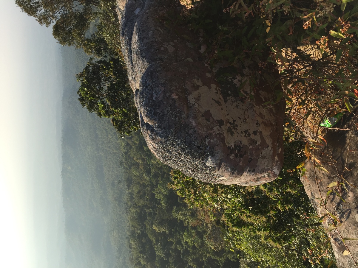 รูปถ่าย ไทย(Thailand) อุทยานแห่งชาติภูหินร่องกล้า(Phu Hin Rong Kla National Park) 2014-12 372