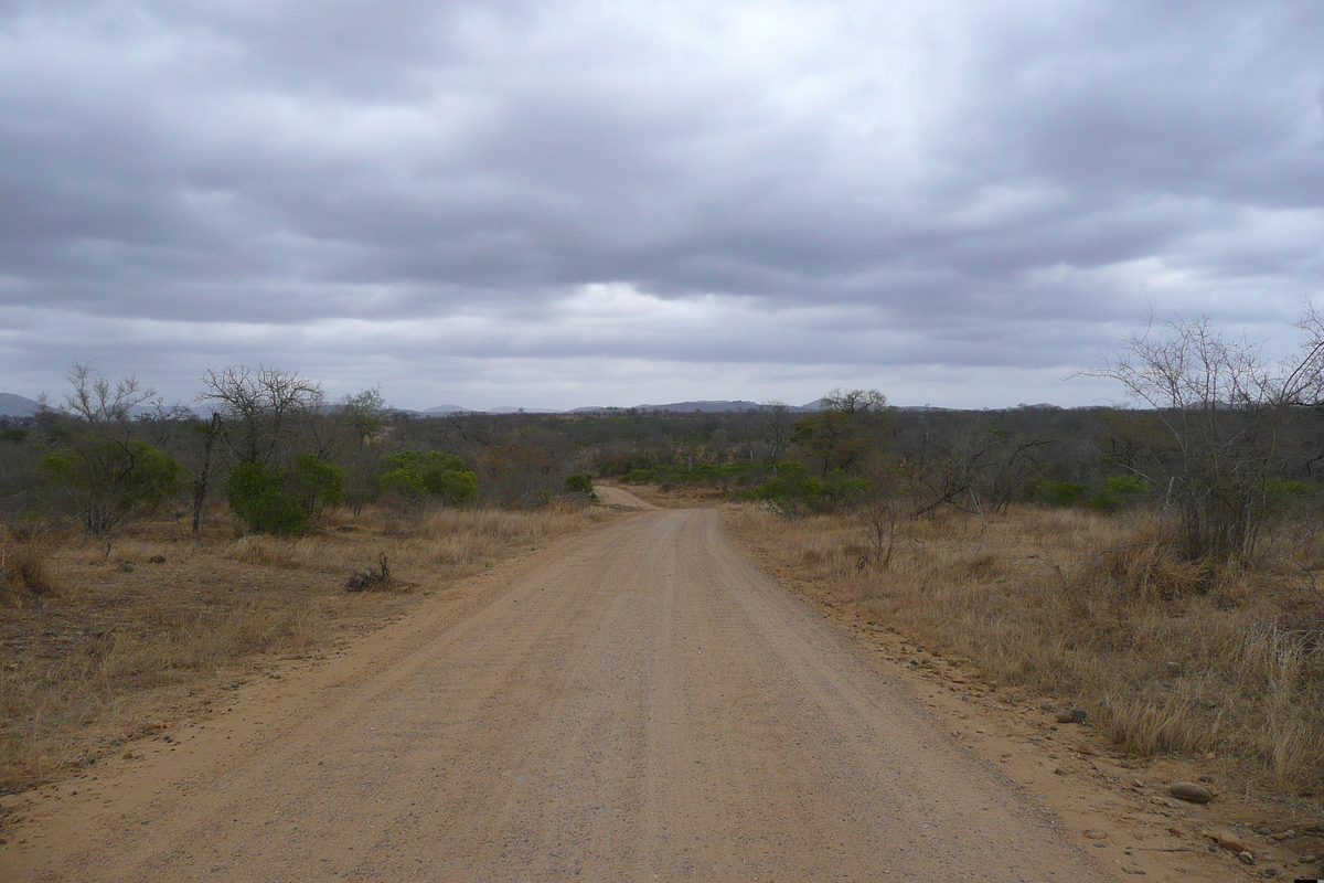รูปถ่าย แอฟริกาใต้(South Africa) อุทยานแห่งชาติครูเกอร์(Kruger National Park) ถนนเลียบแม่น้ำครอกโคไดล์(Crocodile River road) 2008-09 1