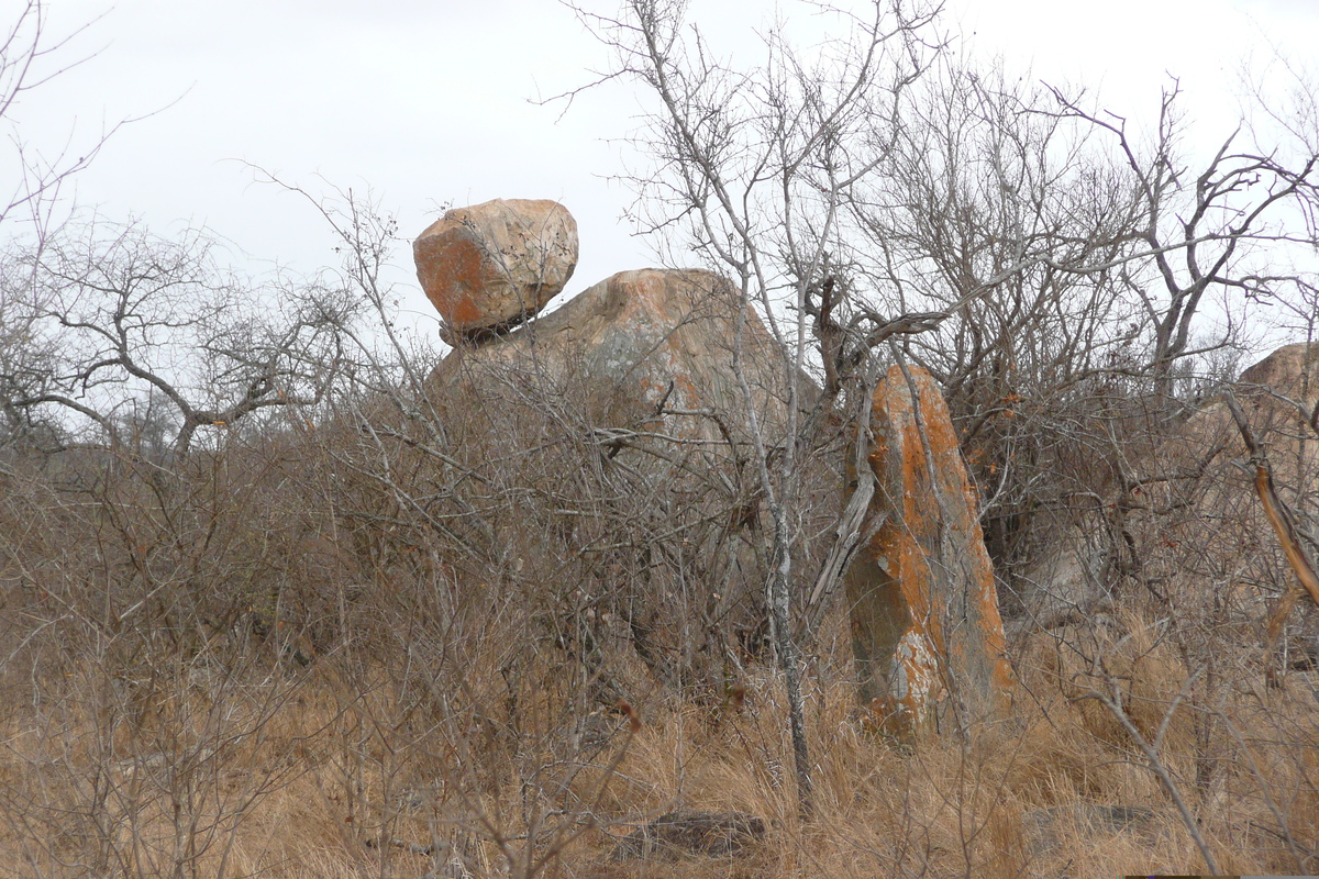 รูปถ่าย แอฟริกาใต้(South Africa) อุทยานแห่งชาติครูเกอร์(Kruger National Park) ถนนเลียบแม่น้ำครอกโคไดล์(Crocodile River road) 2008-09 10
