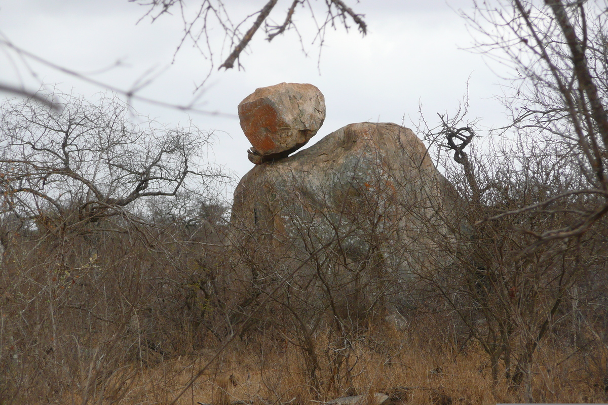 รูปถ่าย แอฟริกาใต้(South Africa) อุทยานแห่งชาติครูเกอร์(Kruger National Park) ถนนเลียบแม่น้ำครอกโคไดล์(Crocodile River road) 2008-09 66