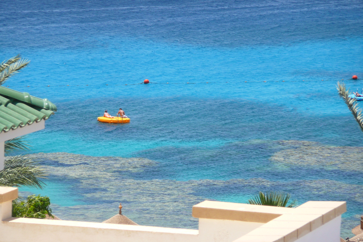 รูปถ่าย อียิปต์(Egypt) ชาร์มเอลชีค(Sharm el Sheikh) โรงแรมไฮแอต(Hyatt Hotel) หาดไฮแอต ชาร์มเอลชีค(Hyatt Sharm el Sheikh Beach) 2008-06 3